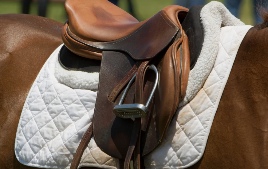 Équipement Dorsalgie cheval